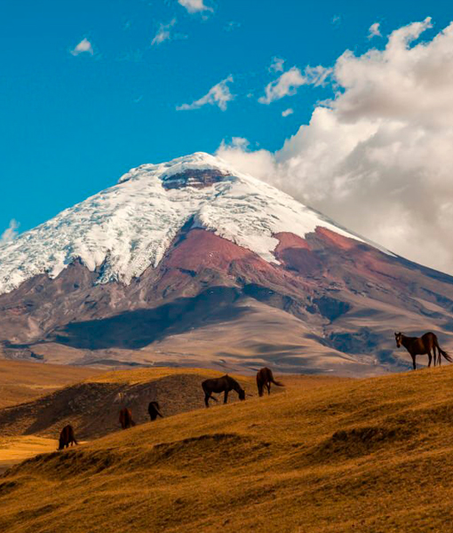 Ecuador Andes