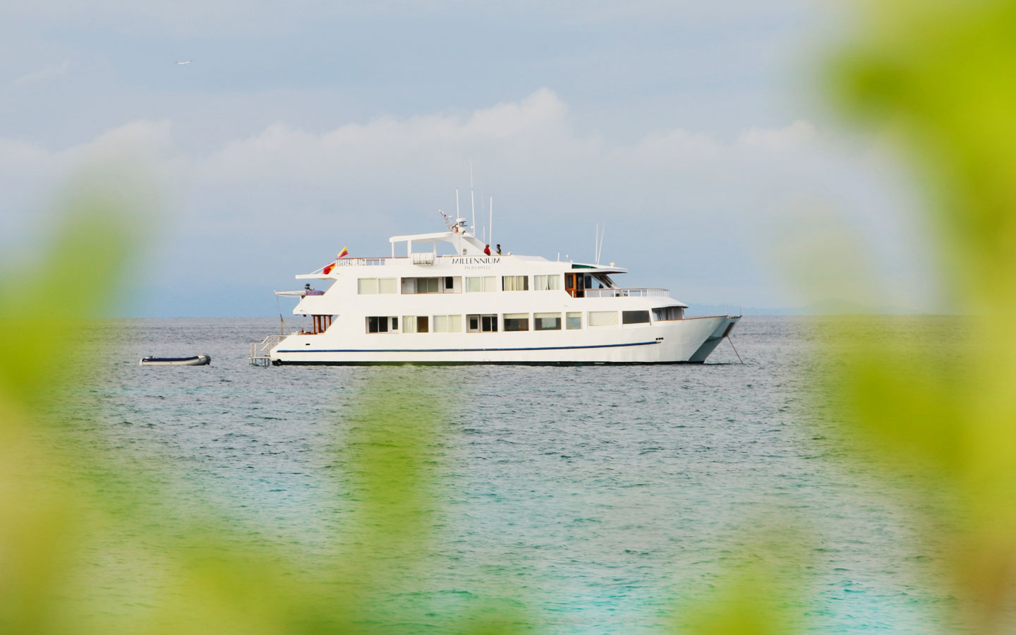 1.templete-millennium-new-exterior