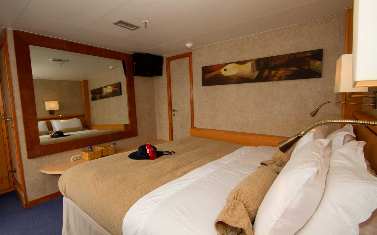 4-Coral_II_Junior_matrimonial