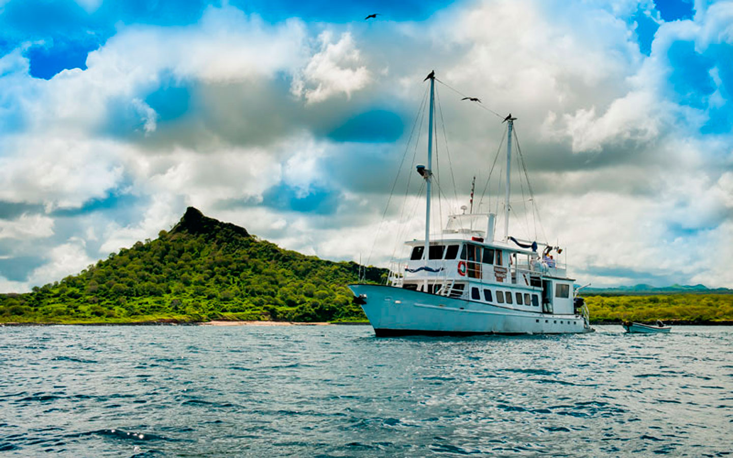 7-golondrina-yacht-galapagos-cruises-on-line