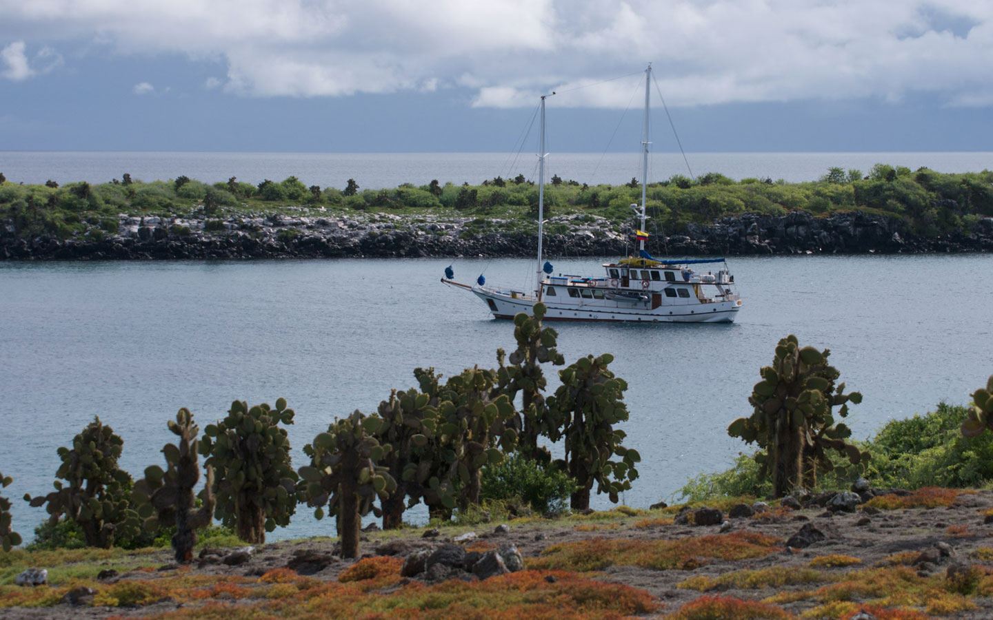 9-cachalote-isladplazas