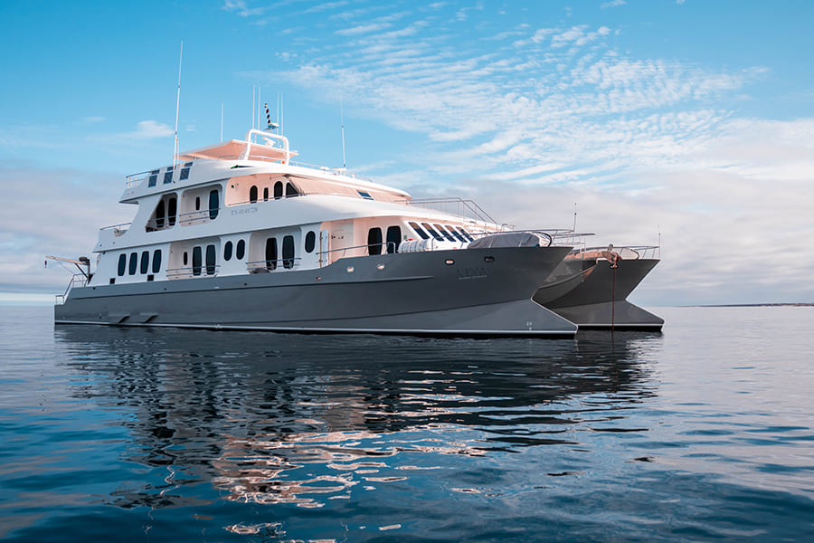 exterior5-alya-catamaran