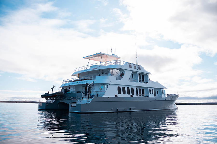 exterior9-alya-catamaran