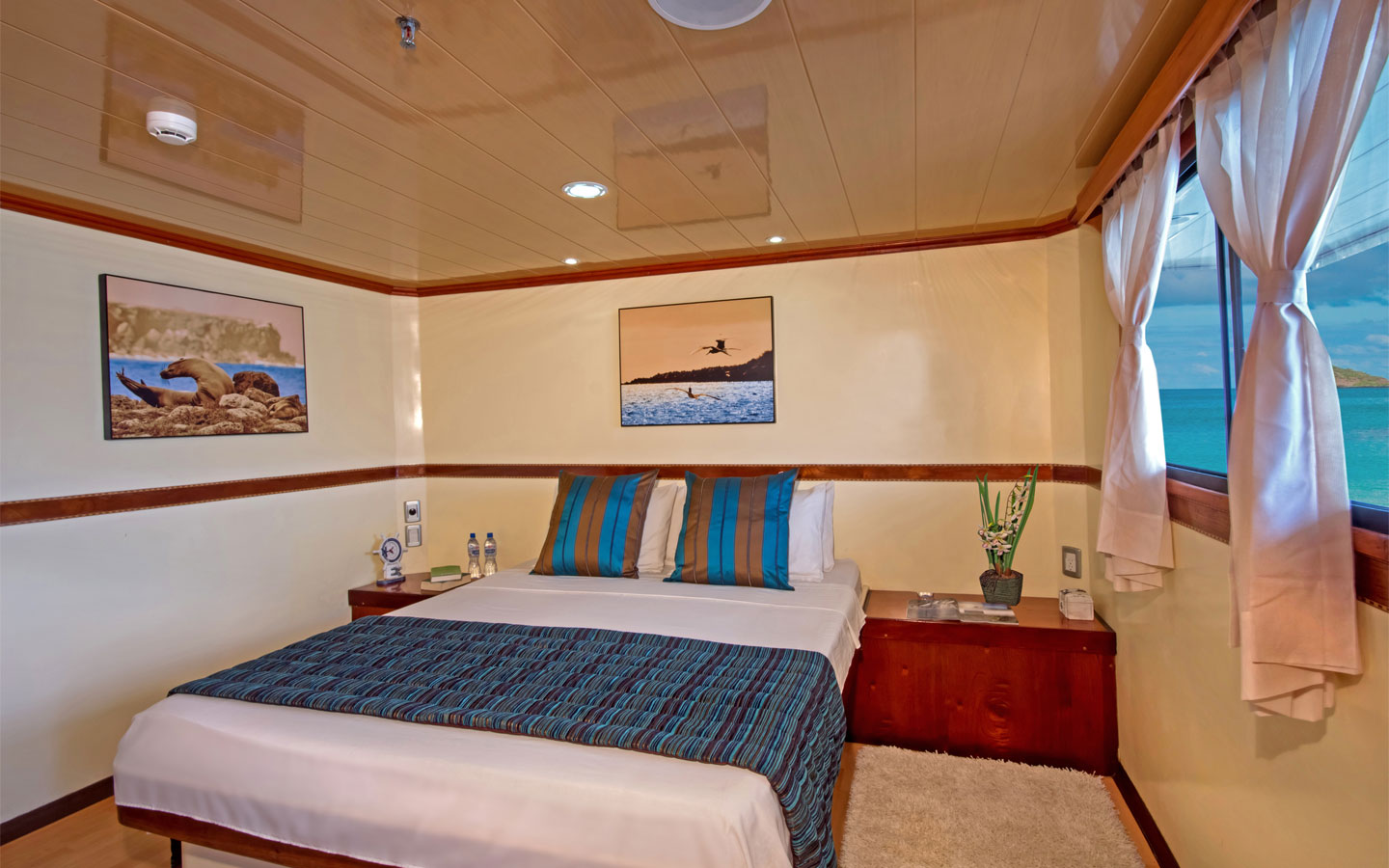 seaman2-cama-matrimonial